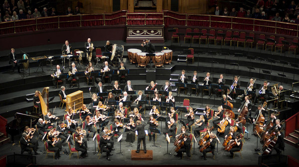 The royal philarmonic orchestra (RPO)